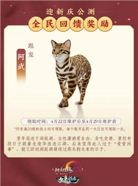 胖胖金币天龙八部私服